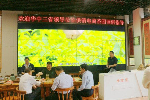 2023年5月25日華中三省供銷系統領導來廣義茶園參觀指導工作